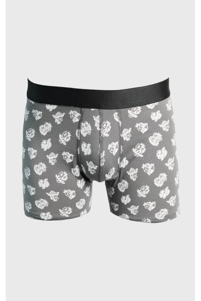 Bóxer gris intenso brief-medio con diseños de Harry Potter