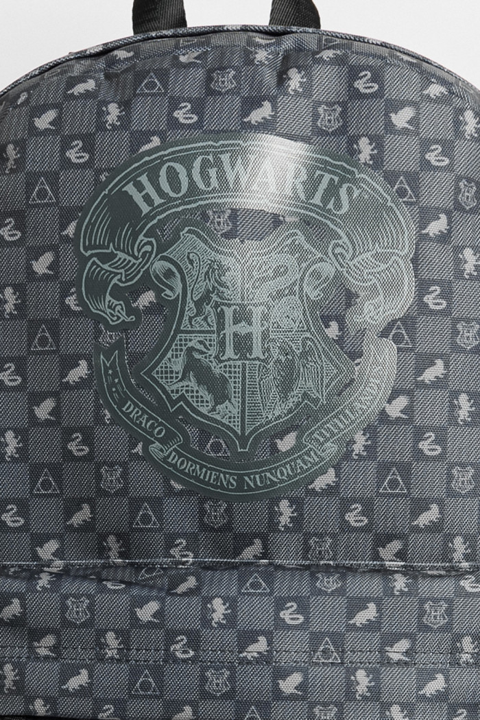 Maleta unicolor con diseño de Harry Potter y cremalleras