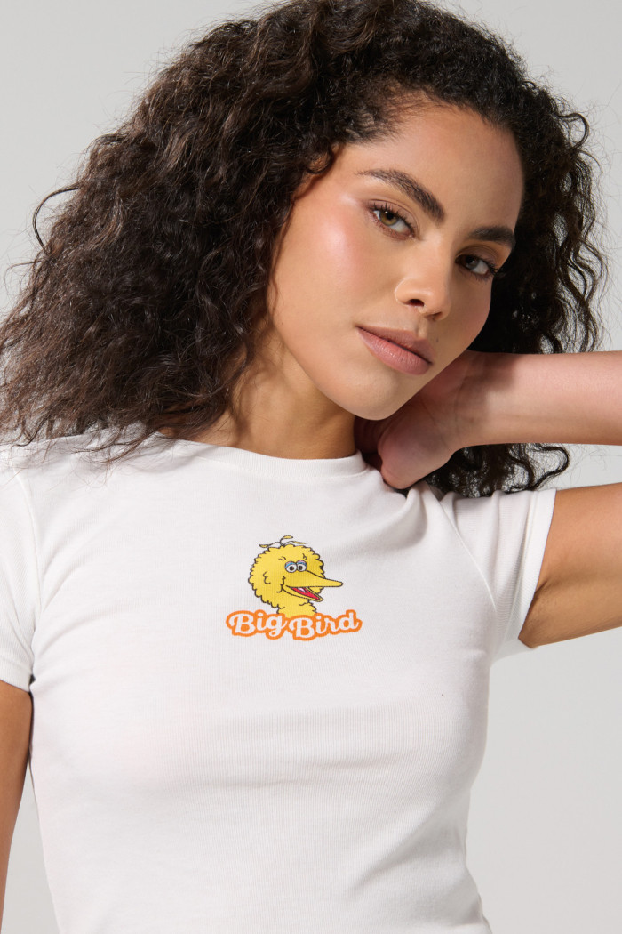 Camiseta crema manga corta con arte de Plaza Sésamo