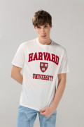 Camiseta crema clara manga corta con arte de Harvard