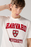 Camiseta crema clara manga corta con arte de Harvard
