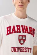 Camiseta crema clara manga corta con arte de Harvard