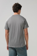 Camiseta manga corta gris medio con arte de CatDog