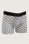 Bóxer gris brief-medio con estampados de Tasmania