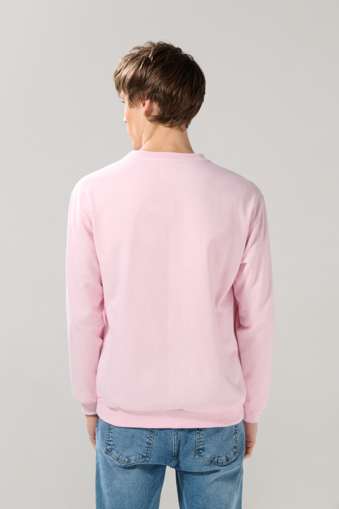 Buzo cuello redondo rosado claro con arte college