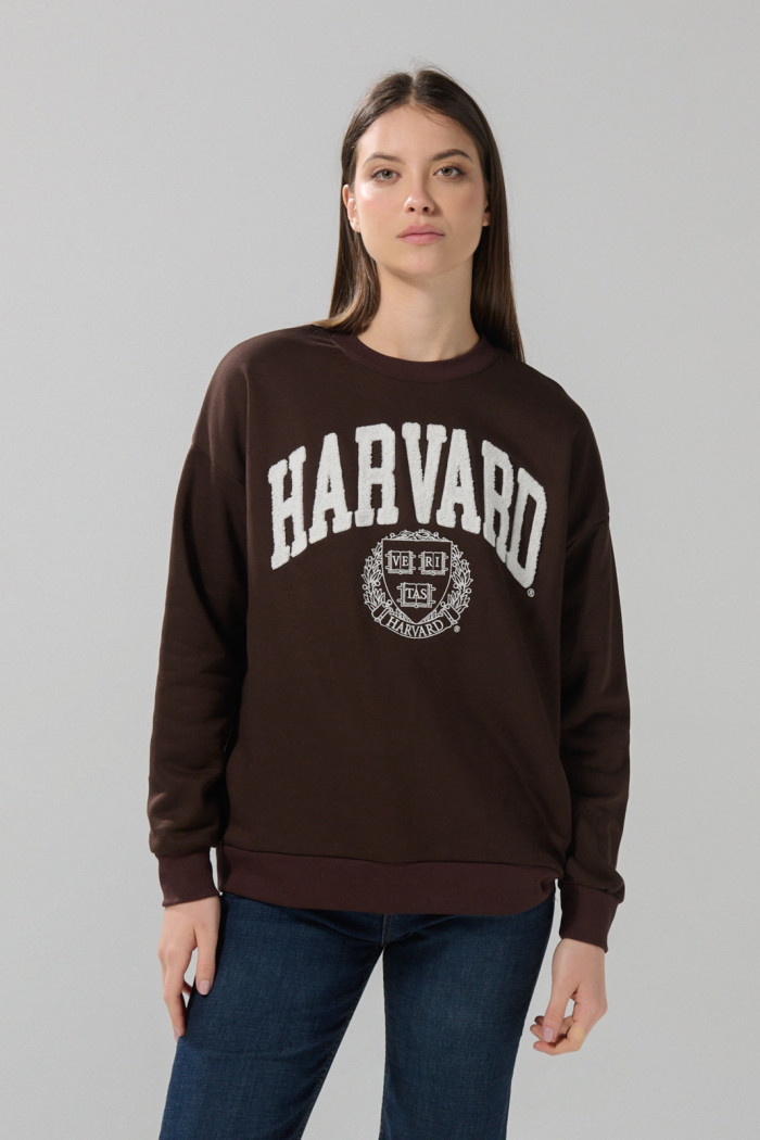 Buzo café oscuro cuello redondo con arte de Harvard oversize