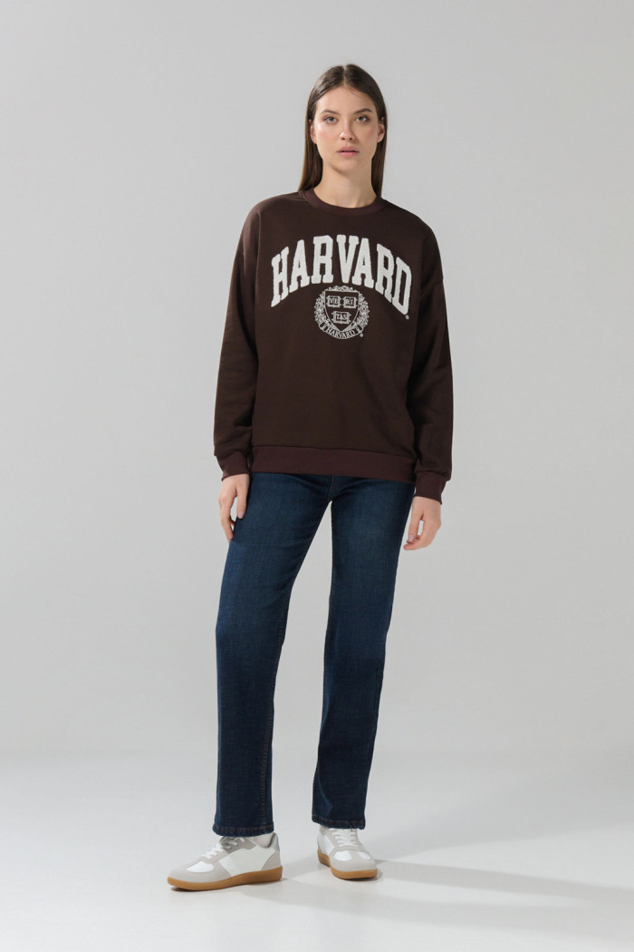 Buzo café oscuro cuello redondo con arte de Harvard oversize