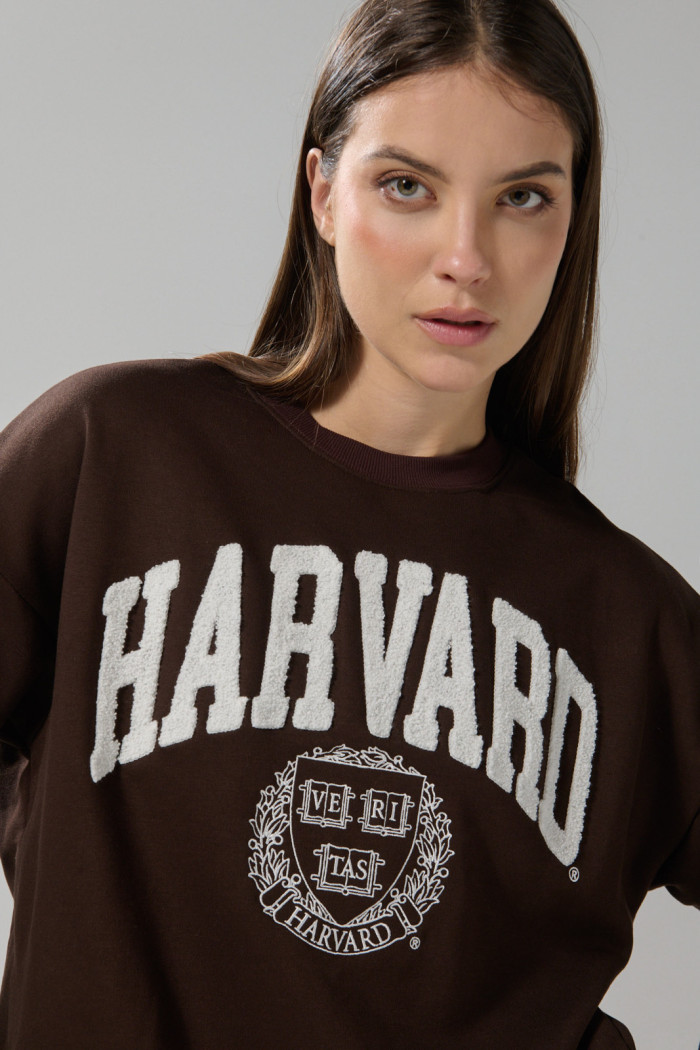 Buzo café oscuro cuello redondo con arte de Harvard oversize