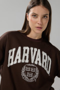 Buzo café oscuro cuello redondo con arte de Harvard oversize