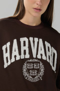 Buzo café oscuro cuello redondo con arte de Harvard oversize