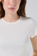 Camiseta infaltables acanalada unicolor con cuello redondo
