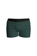 Bóxer verde oscuro brief-medio con diseños de cactus