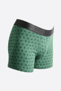 Bóxer verde oscuro brief-medio con diseños de cactus