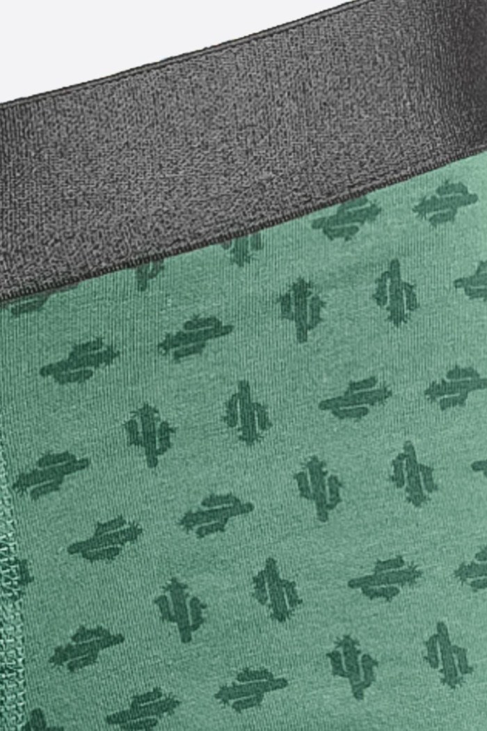 Bóxer verde oscuro brief-medio con diseños de cactus