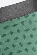 Bóxer verde oscuro brief-medio con diseños de cactus