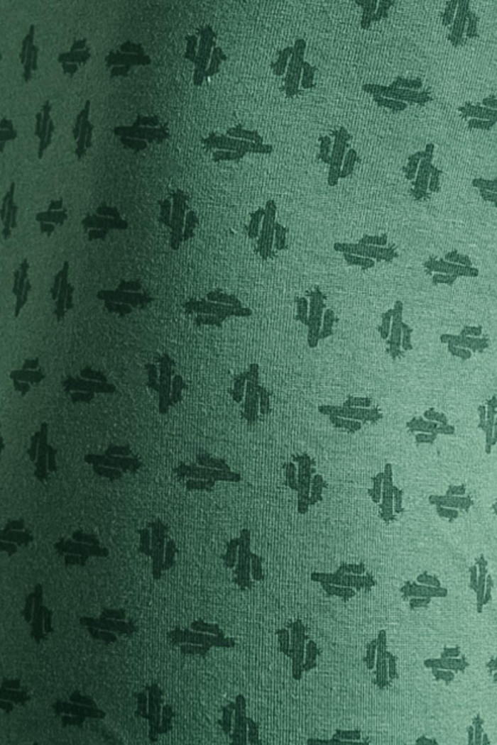 Bóxer verde oscuro brief-medio con diseños de cactus