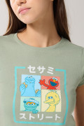 Camiseta de Plaza Sésamo en rib verde con cuello redondo