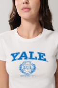 Camiseta crema en rib manga corta con arte de Yale
