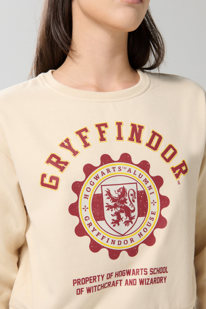 Buzo kaki cuello redondo con estampado de Harry Potter