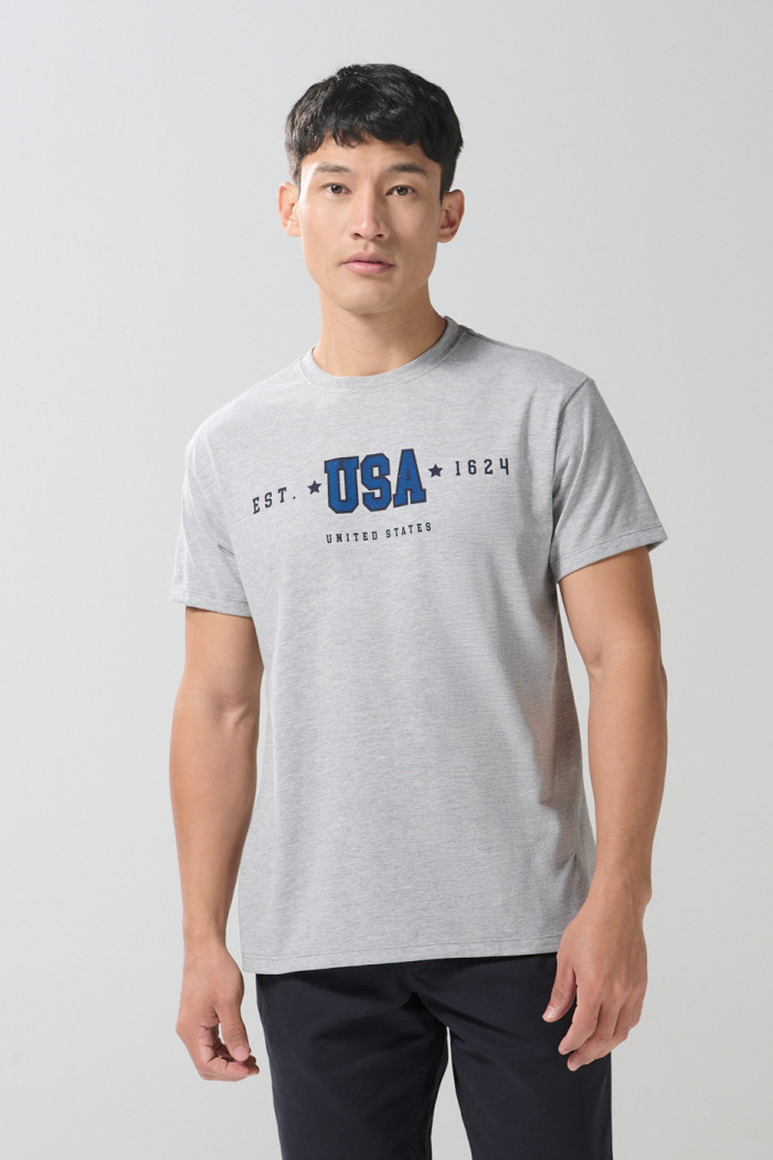 Camiseta gris en algodón cuello redondo con arte college