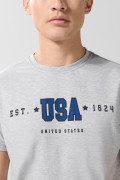 Camiseta gris en algodón cuello redondo con arte college