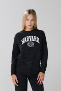 Buzo de Harvard azul intenso con cuello redondo