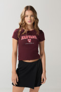 Camiseta roja oscura de Harvard en rib con manga corta