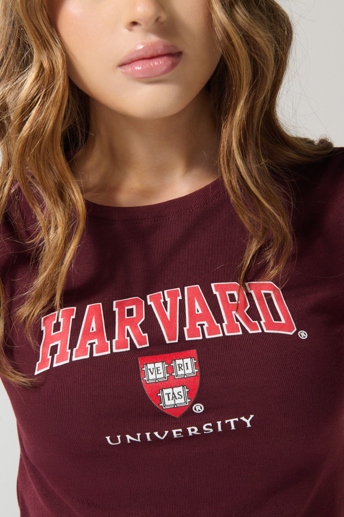 Camiseta roja oscura de Harvard en rib con manga corta