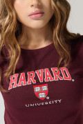 Camiseta roja oscura de Harvard en rib con manga corta