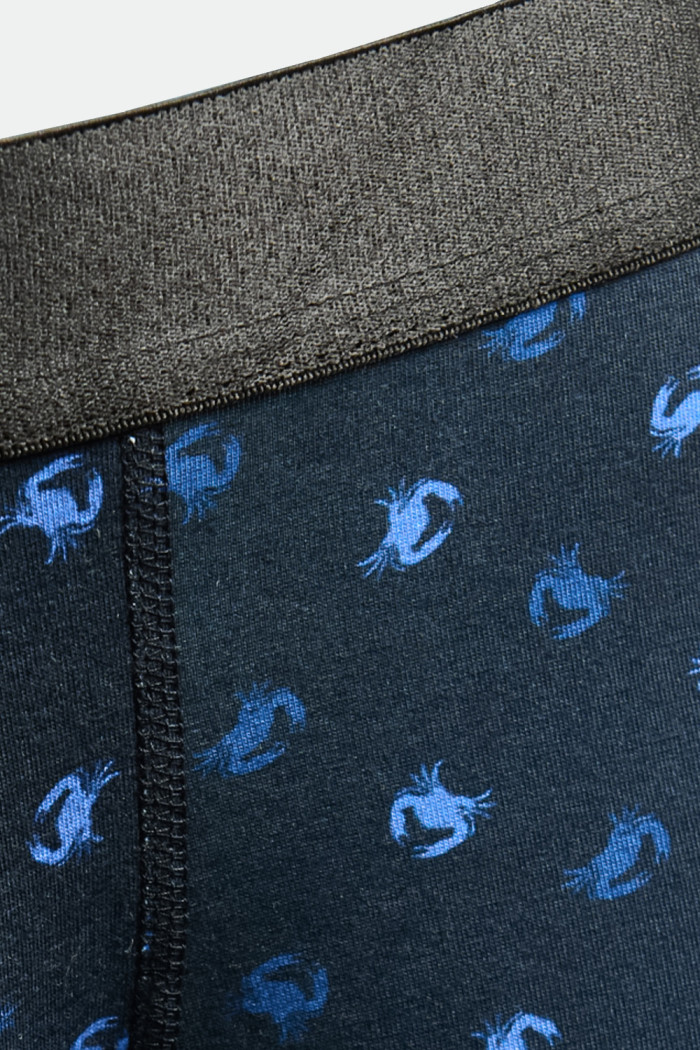 Bóxer brief-medio azul intenso en algodón con estampados