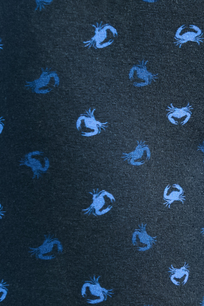 Bóxer brief-medio azul intenso en algodón con estampados