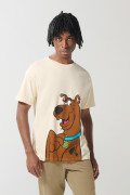 Camiseta de Scooby-Doo kaki en algodón con manga corta
