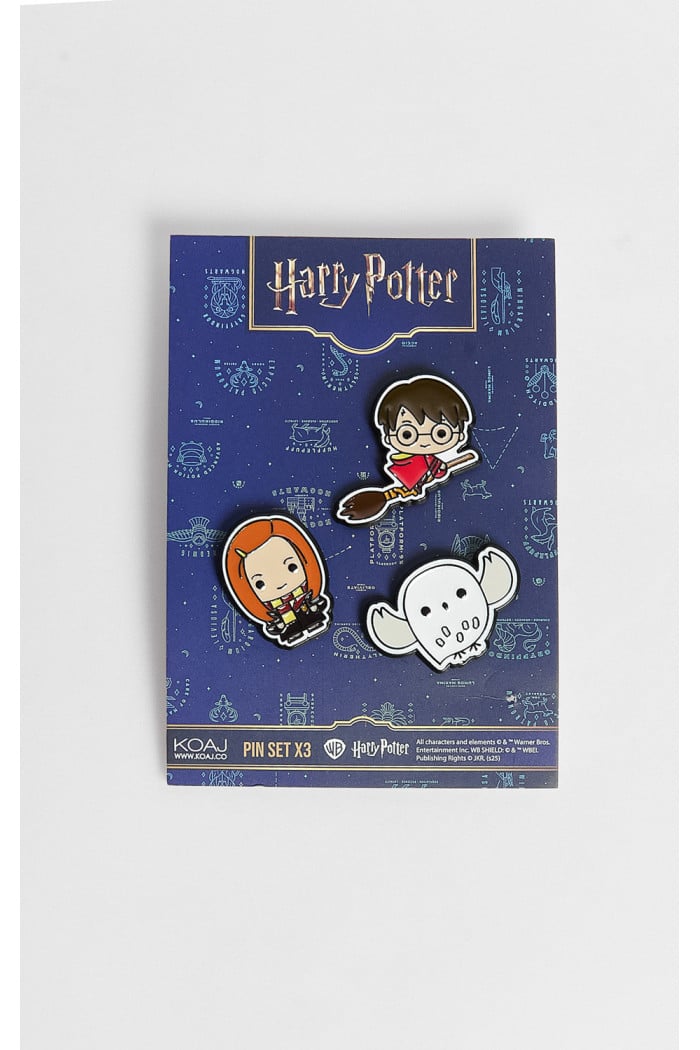 Set X 3 de pines Harry Potter