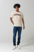 Camiseta manga corta kaki clara con arte de Harvard
