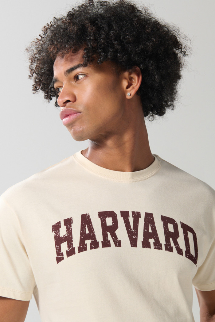 Camiseta manga corta kaki clara con arte de Harvard
