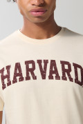 Camiseta manga corta kaki clara con arte de Harvard
